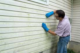 Affordable Siding Repair and Maintenance Services in Gibbon, NE